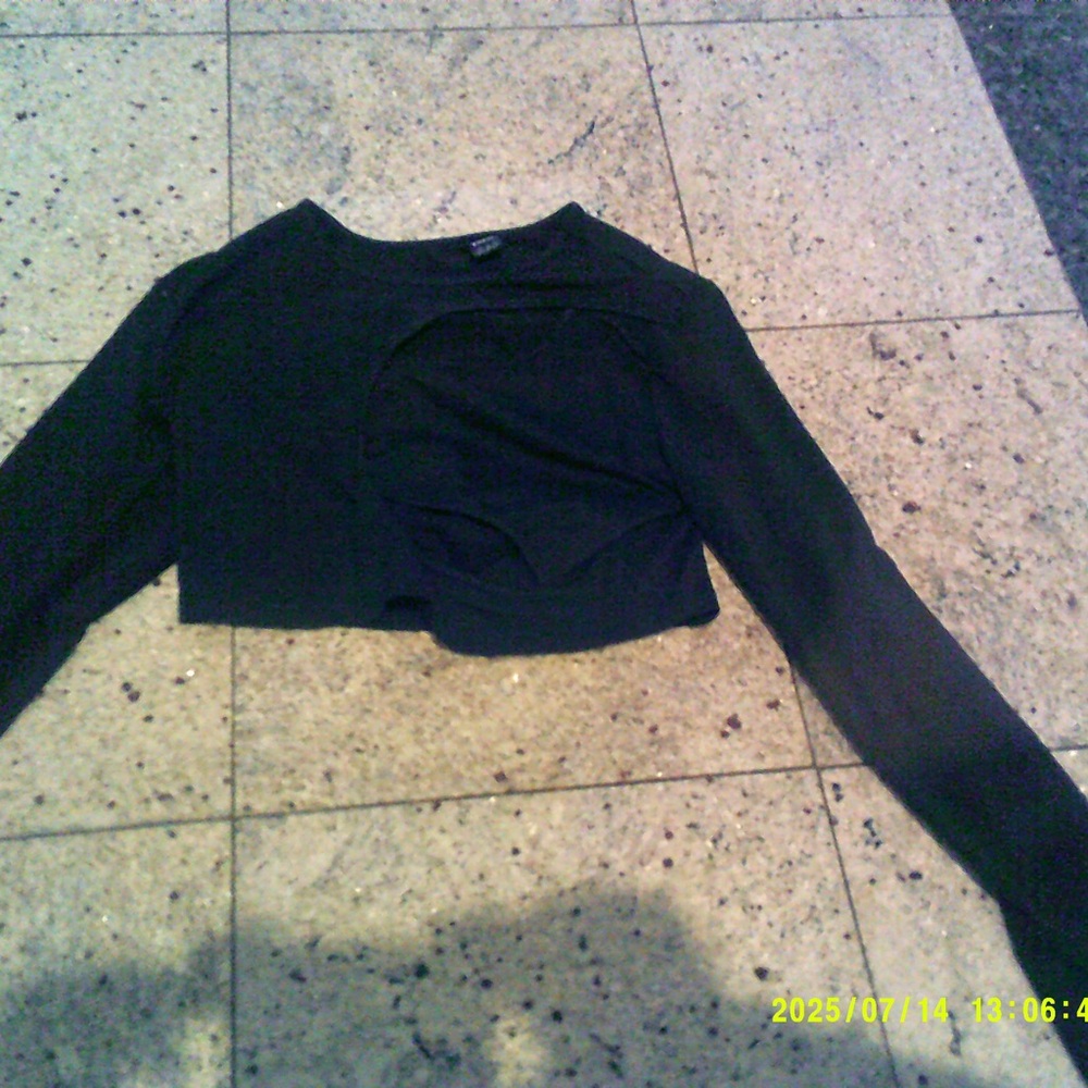 SHEIN Black Long Sleeve Crop Top